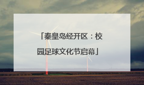 秦皇岛经开区：校园足球文化节启幕