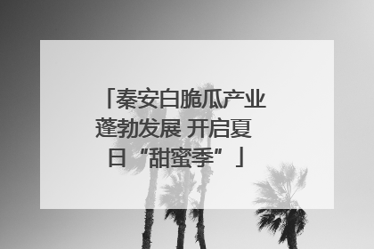 秦安白脆瓜产业蓬勃发展 开启夏日“甜蜜季”