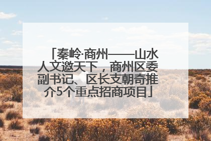 秦岭·商州——山水人文邀天下，商州区委副书记、区长支朝奇推介5个重点招商项目