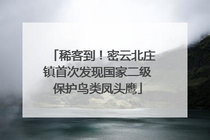稀客到！密云北庄镇首次发现国家二级保护鸟类凤头鹰