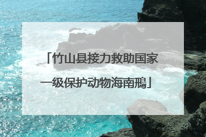 竹山县接力救助国家一级保护动物海南鳽