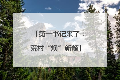 第一书记来了：荒村“焕”新颜