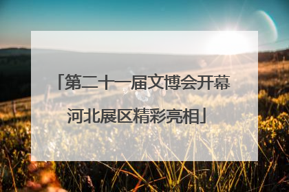 第二十一届文博会开幕 河北展区精彩亮相
