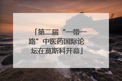第二届“一带一路”中医药国际论坛在莫斯科开幕