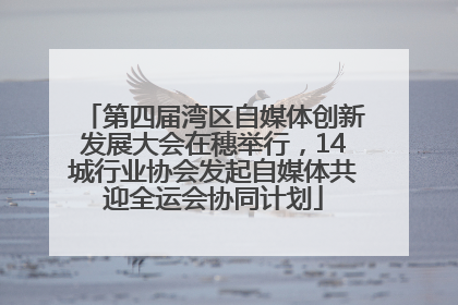 第四届湾区自媒体创新发展大会在穗举行，14城行业协会发起自媒体共迎全运会协同计划