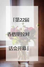 第22届香格里拉对话会开幕