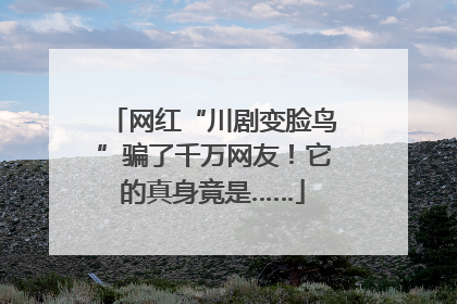 网红“川剧变脸鸟”骗了千万网友！它的真身竟是……
