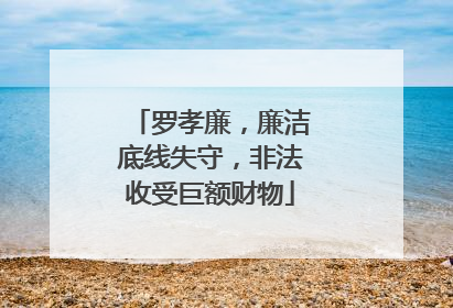 罗孝廉，廉洁底线失守，非法收受巨额财物