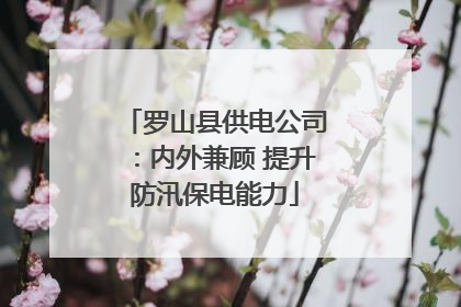 罗山县供电公司：内外兼顾 提升防汛保电能力