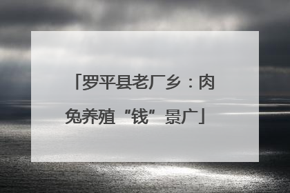 罗平县老厂乡：肉兔养殖“钱”景广