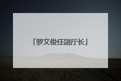 罗文俊任副厅长
