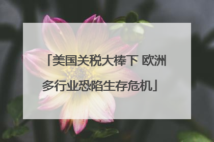 美国关税大棒下 欧洲多行业恐陷生存危机