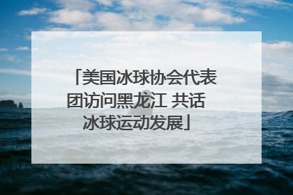 美国冰球协会代表团访问黑龙江 共话冰球运动发展