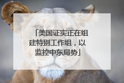 美国证实正在组建特别工作组，以监控中东局势