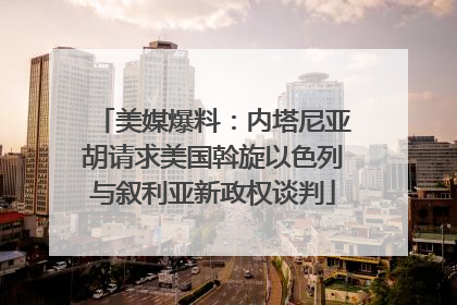 美媒爆料：内塔尼亚胡请求美国斡旋以色列与叙利亚新政权谈判