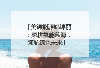 美锦能源姚锦丽：深耕氢能蓝海，领航绿色未来