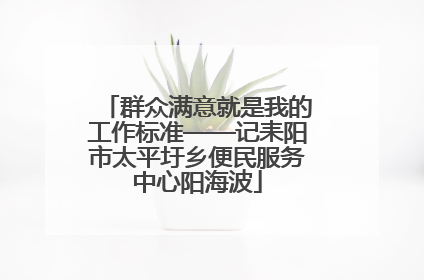 群众满意就是我的工作标准——记耒阳市太平圩乡便民服务中心阳海波