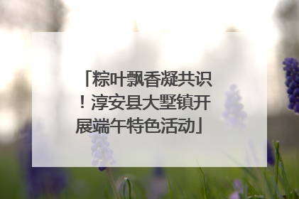 粽叶飘香凝共识！淳安县大墅镇开展端午特色活动