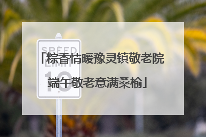 粽香情暖豫灵镇敬老院 端午敬老意满桑榆