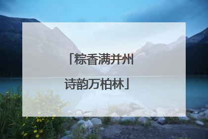 粽香满并州 诗韵万柏林