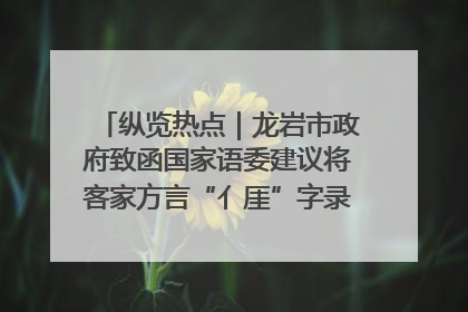 纵览热点｜龙岩市政府致函国家语委建议将客家方言“亻厓”字录入《新华字典》引发热议，当地回应