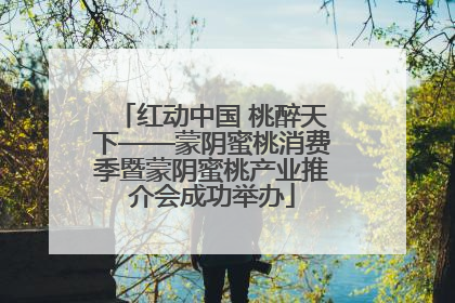 红动中国 桃醉天下——蒙阴蜜桃消费季暨蒙阴蜜桃产业推介会成功举办
