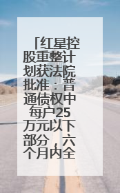 红星控股重整计划获法院批准：普通债权中每户25万元以下部分，六个月内全额现金清偿