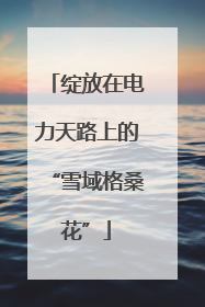 绽放在电力天路上的“雪域格桑花”