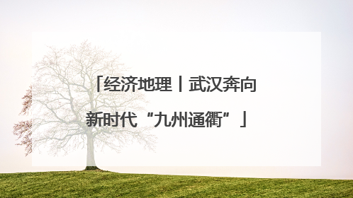 经济地理丨武汉奔向新时代“九州通衢”