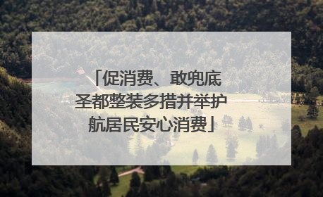 促消费、敢兜底 圣都整装多措并举护航居民安心消费