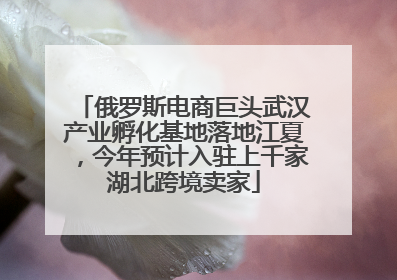 俄罗斯电商巨头武汉产业孵化基地落地江夏，今年预计入驻上千家湖北跨境卖家