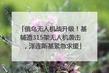 俄乌无人机战升级！基辅遭315架无人机袭击，泽连斯基紧急求援