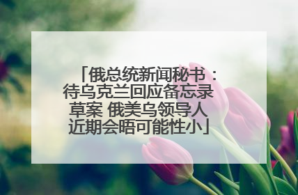 俄总统新闻秘书：待乌克兰回应备忘录草案 俄美乌领导人近期会晤可能性小