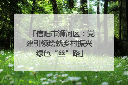 信阳市浉河区：党建引领绘就乡村振兴绿色“丝”路