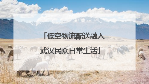 低空物流配送融入武汉民众日常生活