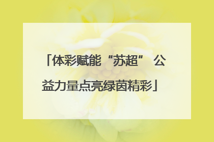 体彩赋能“苏超” 公益力量点亮绿茵精彩