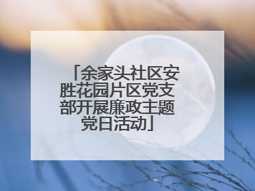 余家头社区安胜花园片区党支部开展廉政主题党日活动
