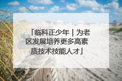 临科正少年｜为老区发展培养更多高素质技术技能人才