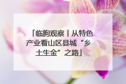临朐观察丨从特色产业看山区县城“乡土生金”之路