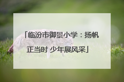 临汾市御景小学：扬帆正当时 少年展风采