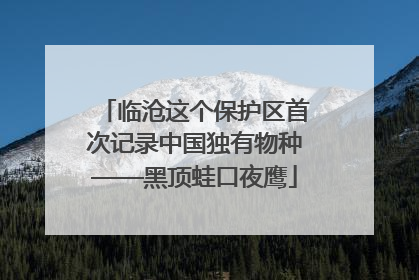 临沧这个保护区首次记录中国独有物种——黑顶蛙口夜鹰
