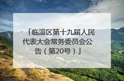 临淄区第十九届人民代表大会常务委员会公告（第20号）