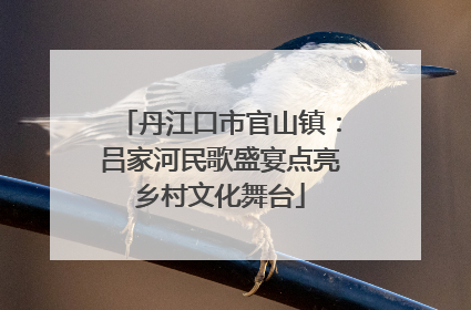 丹江口市官山镇：吕家河民歌盛宴点亮乡村文化舞台