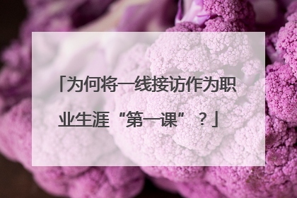 为何将一线接访作为职业生涯“第一课”？