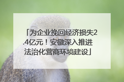 为企业挽回经济损失2.4亿元！安徽深入推进法治化营商环境建设
