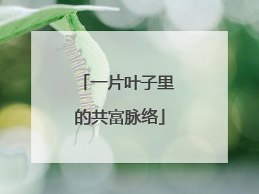 一片叶子里的共富脉络
