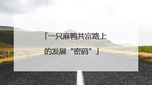 一只麻鸭共富路上的发展“密码”