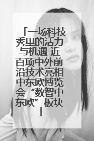 一场科技秀里的活力与机遇 近百项中外前沿技术亮相中东欧博览会“数智中东欧”板块