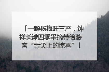 一颗杨梅旺三产，钟祥长滩四季采摘带给游客“舌尖上的惊喜”