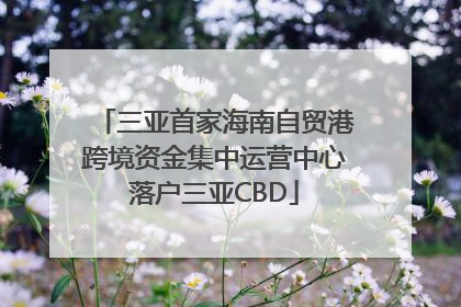 三亚首家海南自贸港跨境资金集中运营中心落户三亚CBD